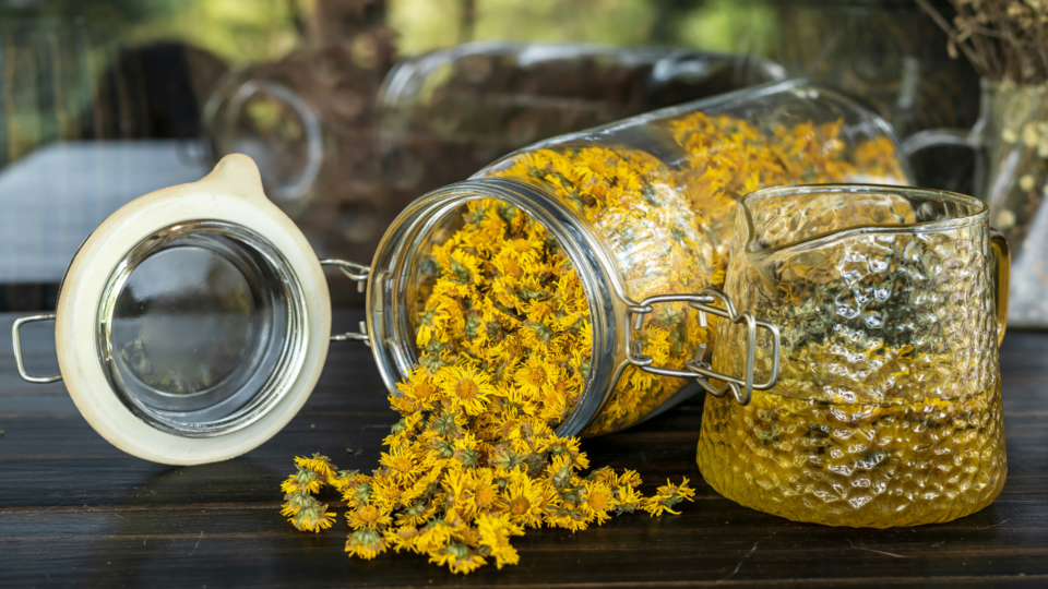 菊花茶